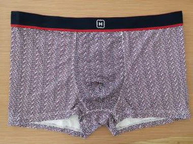 גברים של דוגמנות דפוס בוקסר