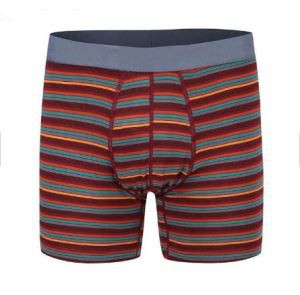 תחתוני ניילון לגברים עם פסים