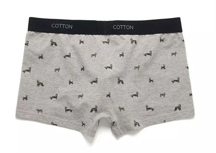 OEM Men's Fashion Prints Front Fly Boxers Back